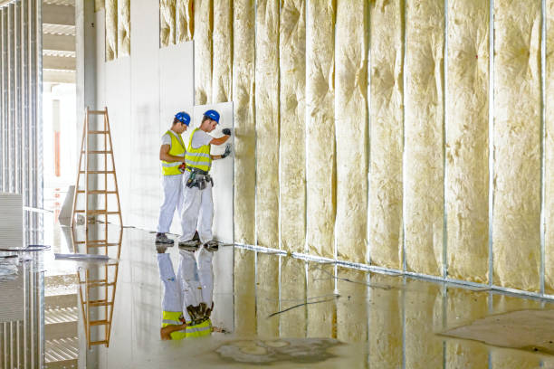 Types of Insulation We Offer in MO